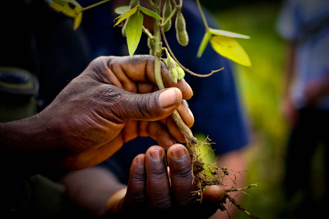 Agriculture